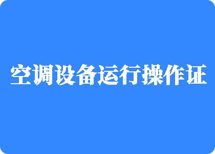 大黑鸡巴头操大黑逼啪啪响的黄色小视频制冷工证